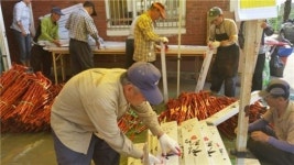 광주 남구 시니어클럽 제작 청려장, 7년째 정부 납품