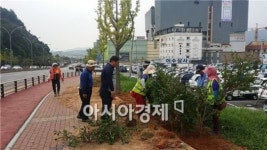 순천시, 발길 따라 싱그러운 가을 화단 만들기 박차