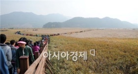 올 가을 순천만 갈대축제에서 순천밥상 받아볼까