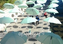 [포토]바람부는 날