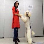 클라라, 대형 푸들과 즐거운 댄스 타임…둘이 닮은 듯