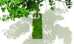 30년된 우리강산 푸르게 푸르게 캠페인이 다시 돌아옵니다