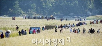 [포토]순천만 갈대愛, 순천맛을 느끼는 관광객들