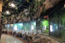 개원 앞둔 함평 국내 첫 양서·파충류 생태공원 가보니