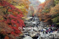 가을 지리산의 백미, 피아골 단풍 보러 오세요