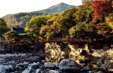 선비고장에서 만나는 가을빛 풍류