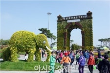 [포토]풍요로운 함평천지로 국화보러오세요