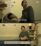 동물농장 배다해, 거식증 걸린 고양이 준팔이와의 특별한 인연
