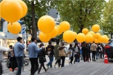 가로수길 옆 도산대로 축제 2014 지바위크’ 성황리 마쳐