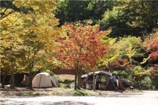 집 나간 가족, 자연에서 하룻밤