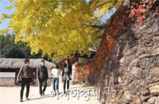 [포토]늦 가을  정취 풍기는  영랑생가