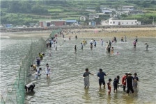 숨은 보물 전국 1급 농촌체험 휴향마을 백서