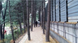 길마중길, 기분 좋은 산책길 만든다