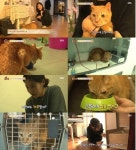 동물농장 배다해, 거식증 고양이 준팔이와 한가족…훈훈한 모습