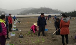 주말농장에서 사랑 키워보세요