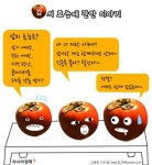 감의 효능, 환절기 감기예방에 탁월…이것과 먹으면 몸에 해로워