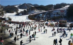 오크밸리에서 썸 타자!