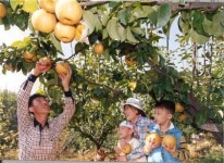 중랑구, 황실배 가족농장 회원 모집