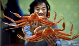 이 게 물올랐소, 얼른 와 맛보시게