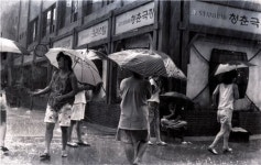 조문호 청량리 588 기록 사진, 25년만에 재전시