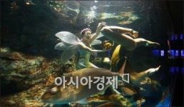 [포토]새봄에는 수중 싱크로나이즈도 공연 보세요