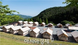 남도 꽃구경 어디로 떠날까?