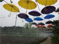 절대 잃어버리지 않는 우산…9m 이상 떨어지면 경고음, 자동 복구까지 신기하네