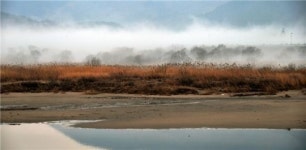 [여행만리]섬진강변 솔숲의 봄…하동은 지금 바람이났다