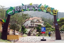 장흥, 별이 머무는 곳  ‘하늘빛 수목원’ 튤립축제 개최