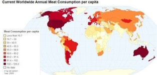 [짜장뉴스] 한국 육식 전보다 4배, 식습관 서구화?