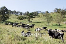 지리산서 낙농 6차산업화로 6억 원 성공신화