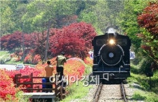 [포토]곡성 섬진강변 철쭉길 달리는 추억의 증기기관차