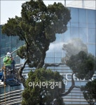 [포토]서초구 명물 천년향 세척
