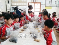 전남 농촌체험휴양마을, 5월 푸짐한 할인혜택받으세요