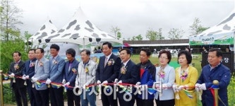 함평나비대축제장내  도심속 젖소 목장 개장