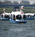 [포토]한강서 열린 오리보트 경주대회