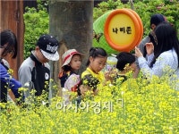[포토]함평에서 나비날려 보세요