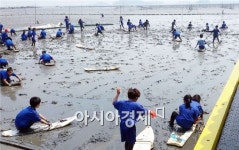 거차뻘배 아시나요