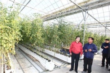 [진화하는농촌]농장 온도·습도조절, 스마트폰으로 간단하게