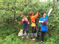 구례군, 영농기 농촌 일손돕기 대대적 추진