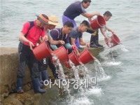 고창군, 수산종묘 조피볼락 구시포·동호해역 방류