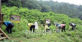 광주시 광산구, 하계U대회 맞아 ‘녹색 길’일제정비
