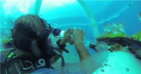 [오아시스]물속 농장 딸기 맛은?