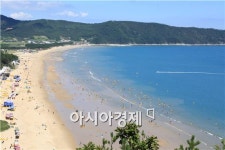 올여름 최고의 휴양지 완도 신지 명사십리 해수욕장 개장