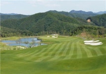 경기도 골프장 2017년까지 농약 7천㎏ 줄인다