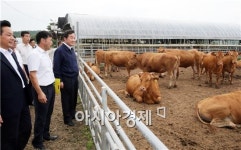 [포토]이낙연 전남도지사, 영암군 고급육 생산 한우사육 농가방문