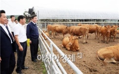 이낙연 전남도지사, 고급육 생산 한우농가 현장 살펴