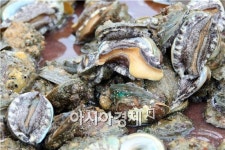 완도군 공노조, 큰(大)전복 팔아주기 발 벗고 나서