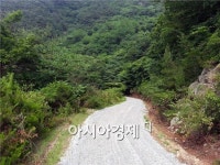 곡성군, 목사동면 유치마을 주민숙원 임도 개설