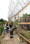 [DMZ 지뢰 도발]공개된 사진으로 본 사고현장은